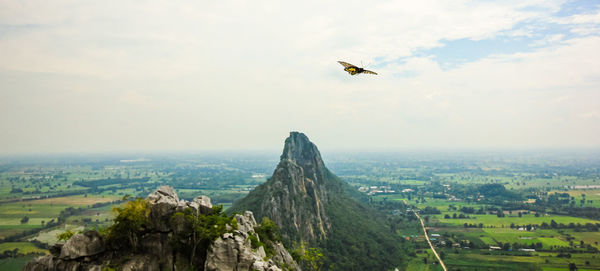 High angle view of bird flying over cityscape against sky