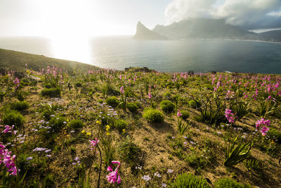 Scenic view of sea and mountains against sky