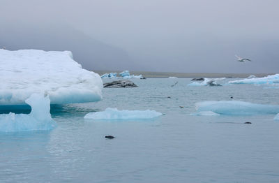 Scenic view of frozen sea against sky