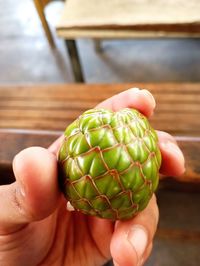 Cropped hand holding pine cone