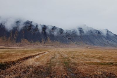 Scenic view of field against sky