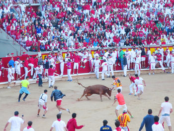 Bull amidst crowd during corrida