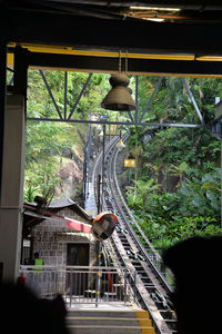 Train against trees