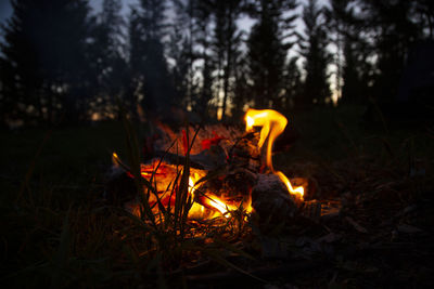 Bonfire on field at night