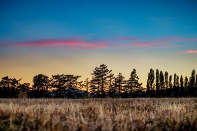 Scenic view of field against sky at sunset