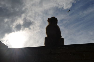 Low angle view of silhouette monkey sitting against sky