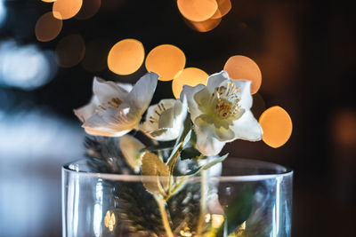 Close-up of white roses in glass on table