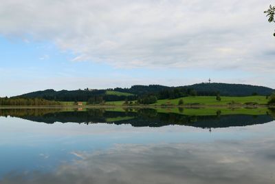 Reflection of trees in calm lake