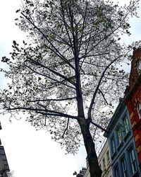 Low angle view of building with trees in background