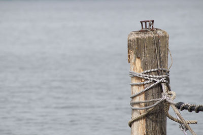 Wooden post in the dark