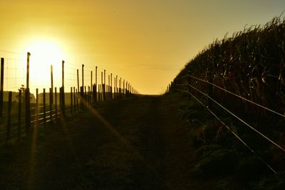 Scenic view of landscape during sunset