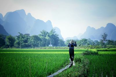 Farmer walking on concrete path amidst grass field