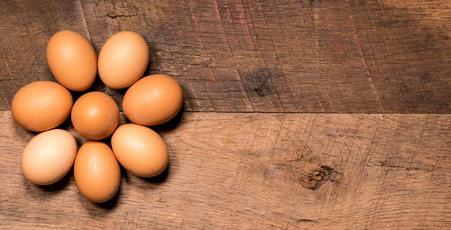 High angle view of eggs on table