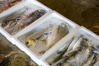 High angle view of fish for sale in market