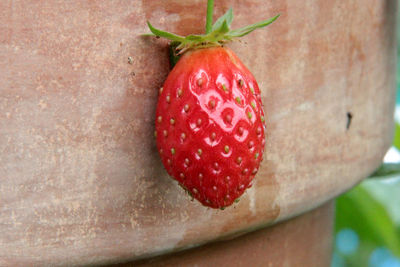 Close-up of strawberry