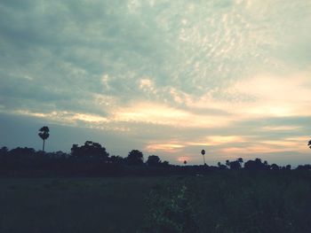 Silhouette trees on field against sky during sunset