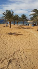 Palm trees on beach against cloudy sky