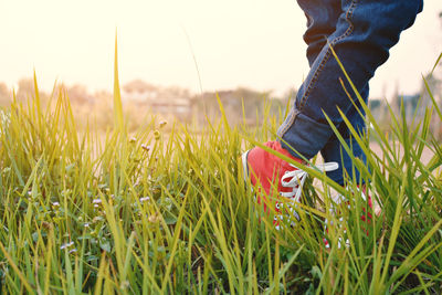 Close-up of person standing on grassy field