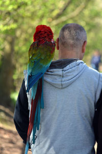 Rear view of man with umbrella