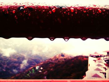 Close-up of water drops on glass