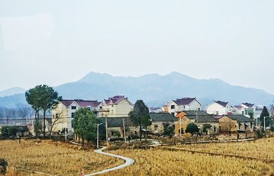 Houses by agricultural field against clear sky