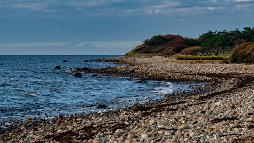 Scenic view of sea against sky