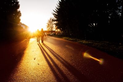 Rear view of people walking on street during sunset