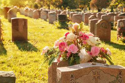 View of flowering plants at cemetery