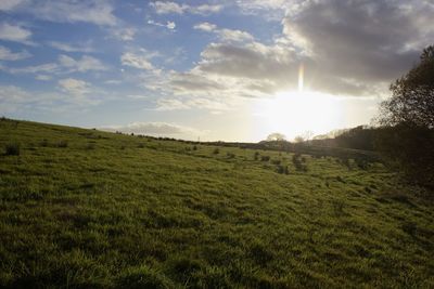 Scenic view of field against sky