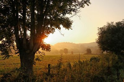Scenic view of field against sky during sunset