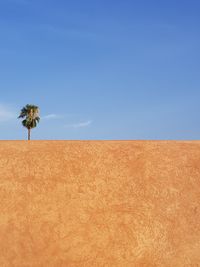 Scenic view of field against clear blue sky