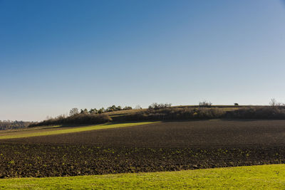 Scenic view of field against clear sky