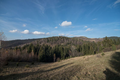 Panoramic shot of trees on field against sky