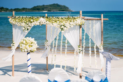 Close-up of flowers on beach against clear sky