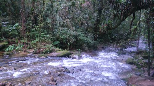 Scenic view of river flowing through rocks