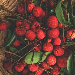 Close-up of strawberries