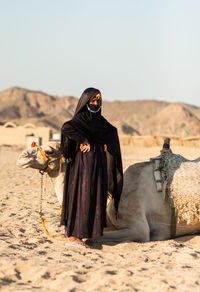 View of a horse on desert