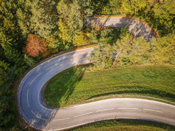 High angle view of golf course against trees