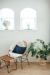 Potted plant on table at home