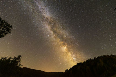 Low angle view of silhouette trees against sky at night