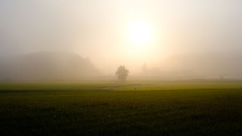 Scenic view of field against sky during foggy weather