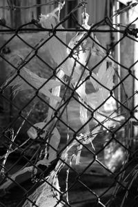 Close-up of chainlink fence