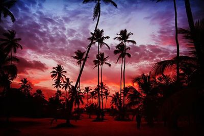 Silhouette of palm trees at sunset