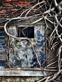 Close-up of weathered wall