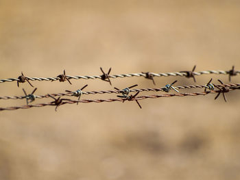 Close-up of rusty barbed wire outdoors