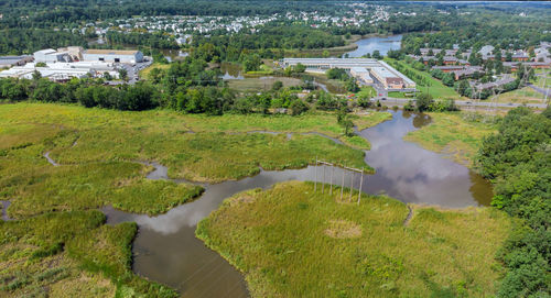 High angle view of buildings and trees in city