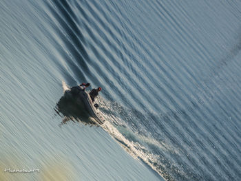 High angle view of person surfing in sea