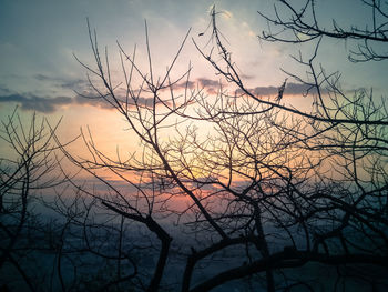 Silhouette tree against sky at sunset