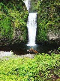 View of waterfall