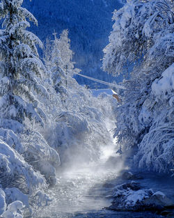 Scenic view of snow covered mountain